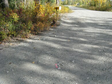 NE lot corner in road