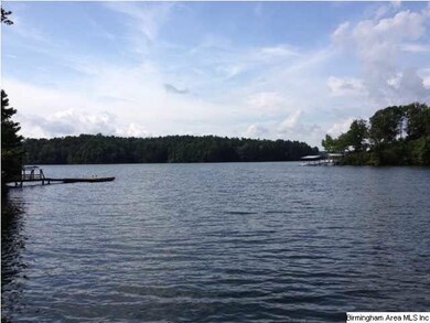LOOKING OUT TO THE BIG WATER FROM LOT