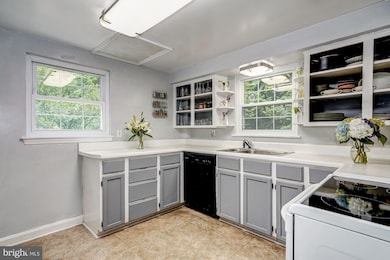 3207 Spring Dr, Alexandria, VA 22306 - photo 6