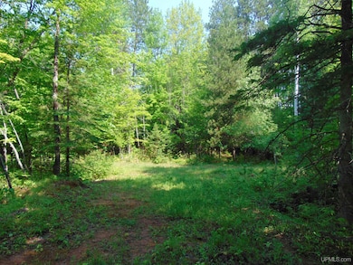 TBD 1 Alston Rd, Laird Township, MI 49958 - photo 4