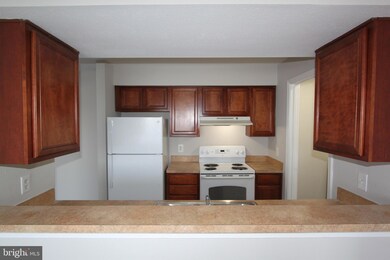 11256 Torrie Way unit J, Bealeton, VA 22712 - photo 7