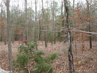 0 Spring Cottage Rd unit 1227520, Newtown, VA 23126 - photo 5