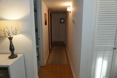 Lower Level Hallway