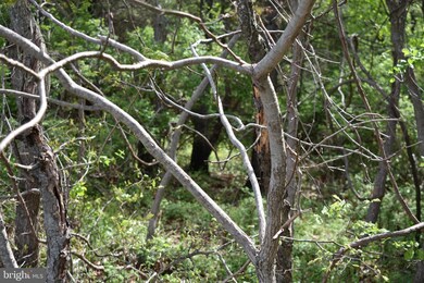 14109 Maple Ridge, Hancock, MD 21750 - photo 5