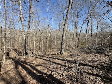 20 Backwoods Estates, Indian Mound, TN 37079 - photo 5