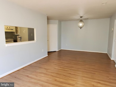 609 Hudson Ave, Takoma Park, MD 20912 - photo 4