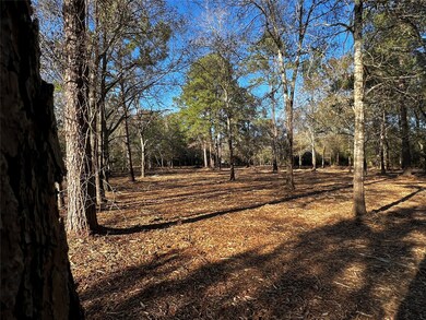 31317 Joseph Rd, Hockley, TX 77447 - photo 7