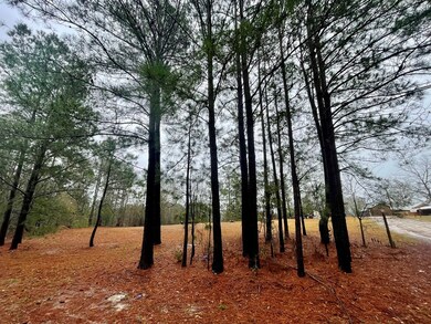 0 S Monroe St, Sylvester, GA 31791 - photo 6