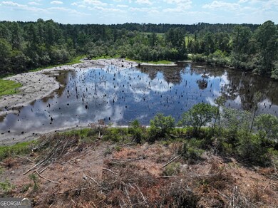 Over looking the pond
