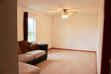 202 Alamosa Dr, Freeburg, IL 62243 - photo 7