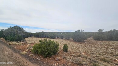 20250529_150630