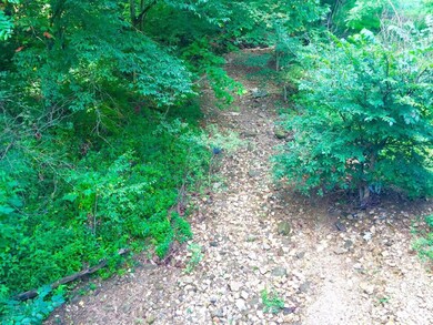 325 Sinks Rd, Somerset, KY 42501 - photo 2