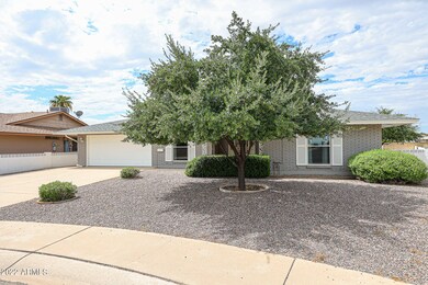9838 N 102nd Dr, Sun City, AZ 85351 - photo 3