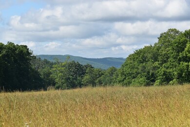 243 Joslyn Rd, Hardwick, MA 01037 - photo 4