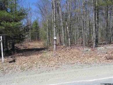 0 Gentile Rd unit 201820186, Stephentown, NY 12168 - photo 4