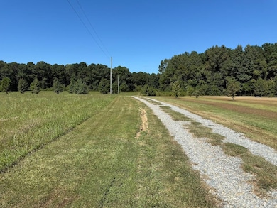 Shine Rd unit LotWP001, Snow Hill, NC 28580 - photo 5