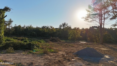 6 Tyro Branch Cove, Senatobia, MS 38668 - photo 4