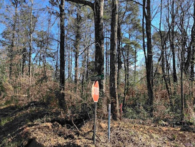 TBD Mcdaniel Rd, Amite, LA 70422 - photo 2