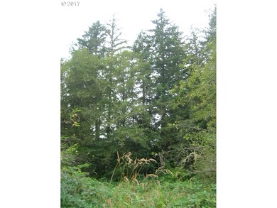 0 Wildwood Rd unit 17549433, Monmouth, OR 97361 - photo 2
