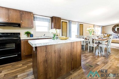 912 Butternut St, Carlsbad, NM 88220 - photo 7