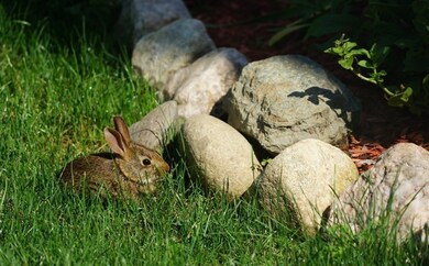 656 Huckle Hill Rd, Bernardston, MA 01337 - photo 6
