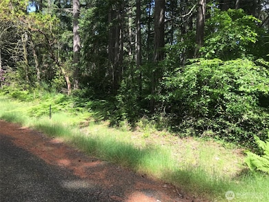 11205 110th St, Anderson Island, WA 98303 - photo 2