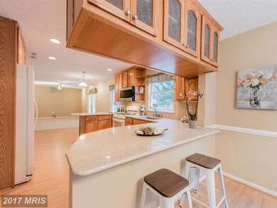 12017 White Cord Way, Columbia, MD 21044 - photo 7