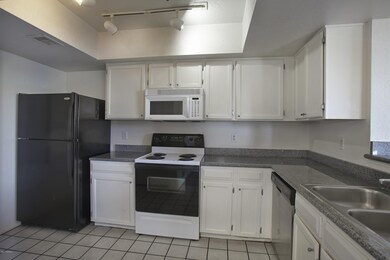 4203 N River Grove Cir unit 203, Tucson, AZ 85719 - photo 4