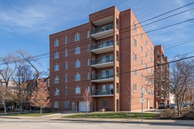 1325 Perry St unit 401, Des Plaines, IL 60016 - photo 2