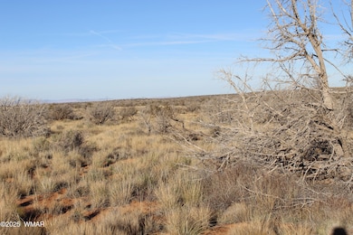 Lot 224 Ccr, Heber, AZ 85928 - photo 3