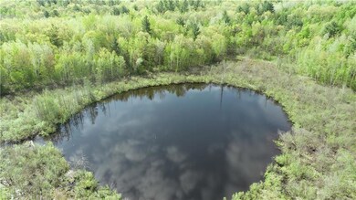 0 Lake Four Dr unit 1564600, Rusk, WI 54728 - photo 3