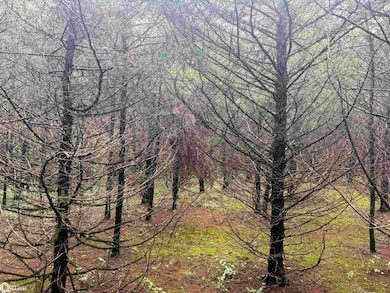 0 15th St unit NOC6332055, Blakesburg, IA 52536 - photo 7