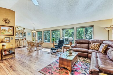 63420 Saddleback 4