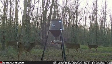 0 Interstate 49, Alexandria, LA 71302 - photo 6