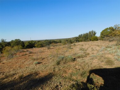 Tract 3 County Road 131, Brownwood, TX 76801 - photo 5