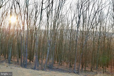 1170 Ewing Dr, Baker, WV 26801 - photo 6