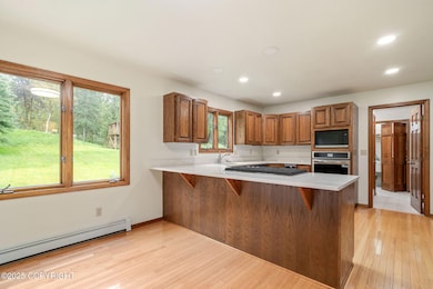 22410 Pharaoh Cir, Chugiak, AK 99567 - photo 2