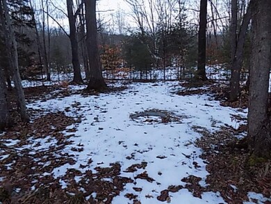 77 Fence Row Cir, Leroy, MI 49655 - photo 4