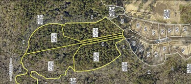 3909 Summerton St, Mount Pleasant, SC 29466 - photo 6