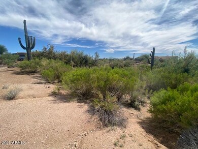 Saguaros