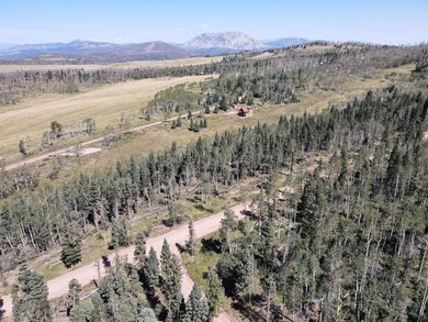0 Petito Dr unit 25674908, Fort Garland, CO 81133 - photo 3