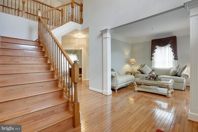 12102 Castle Pines Dr, Beltsville, MD 20705 - photo 6