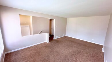 3460 170th Place, Lansing, IL 60438 - photo 3