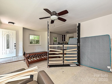 2733 Palm Ave, Charlotte, NC 28205 - photo 6