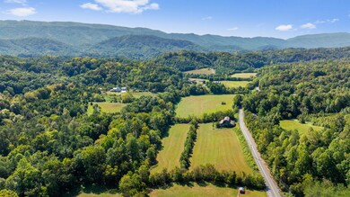 dji_20240911115648_0577_d