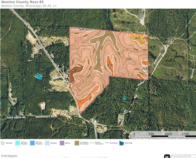 0 Little Rock County Line Rd, Union, MS 39365 - photo 5