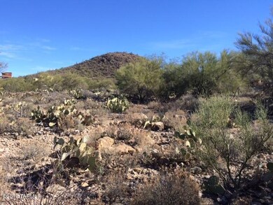 Lush Vegetation