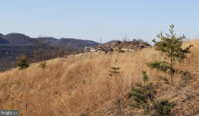 Lot 284 Ridge View Rd, Old Fields, WV 26836 - photo 6