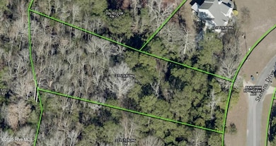 113 Sterling Dr, Sneads Ferry, NC 28460 - photo 2