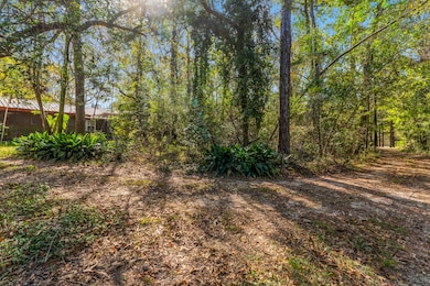 12533 Evergreen Rd, Conroe, TX 77303 - photo 4